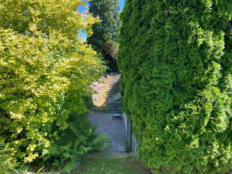 Schoene Einliegerwohnung Mit Freisitz. Ideal Fuer Geschaeftsleute Und Reisende Laufenburg Kültér fotó